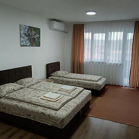 Apartmani Centar 셰니차 외부 사진
