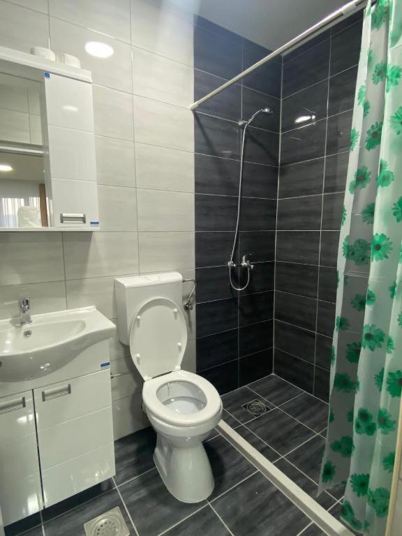 Apartmani Centar 셰니차 외부 사진