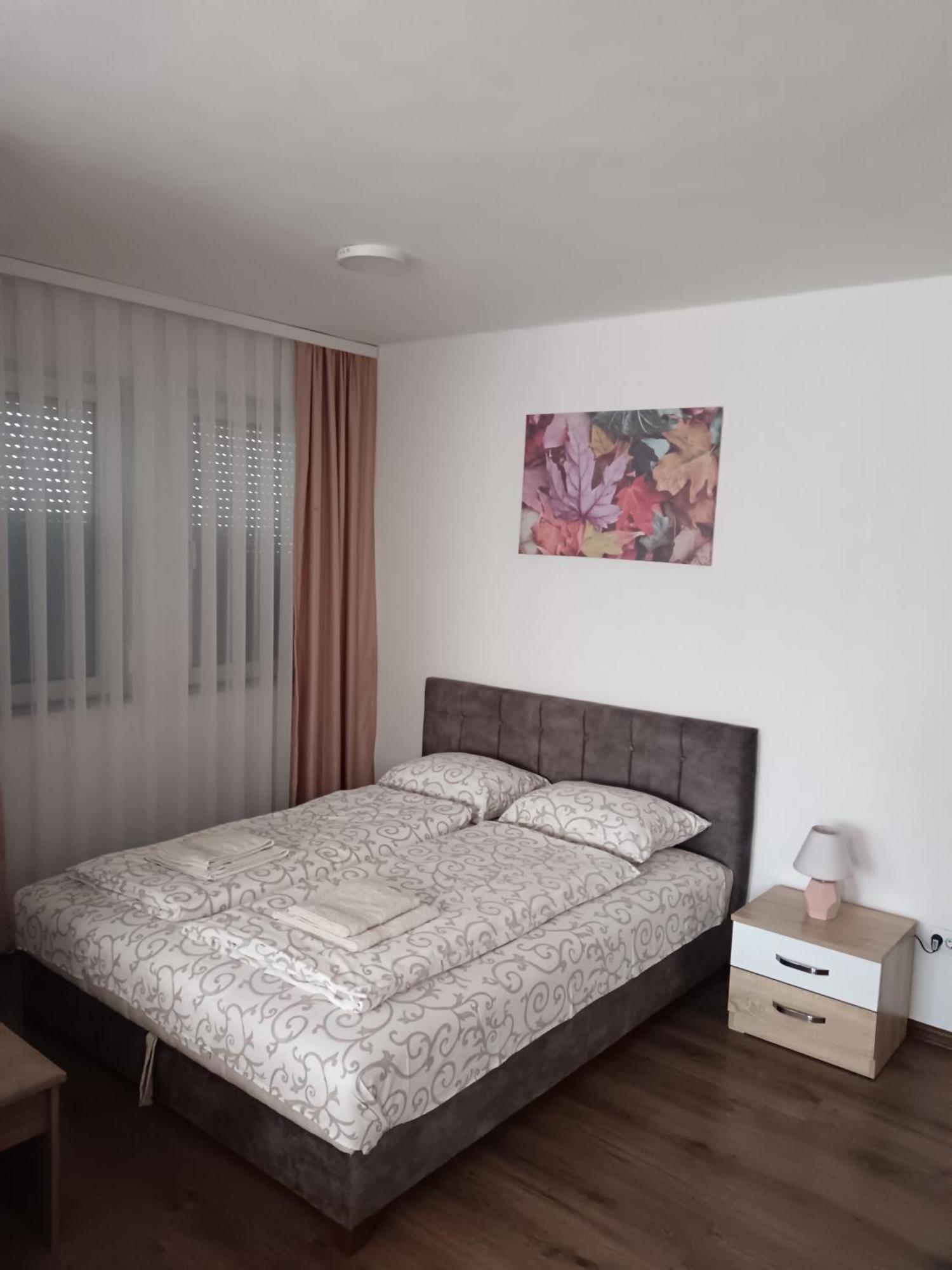 Apartmani Centar 셰니차 외부 사진